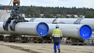 Grüne kritisieren Vorstoß Kretschmers für Nord-Stream-Inbetriebnahme