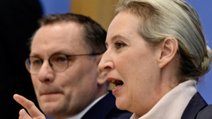 "Normalit&auml;t im Bundestag": Weidel erhebt Anspruch ihrer Partei auf wichtige Posten
