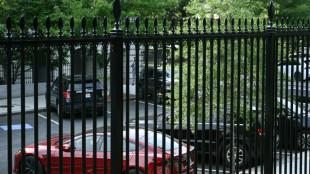 Trump plant keine Aussprache mit Musk und prüft Tesla-Verkauf 