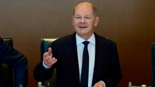Scholz-Sprecher: Regierung auch nach Vertrauensfrage "voll handlungsf&auml;hig"