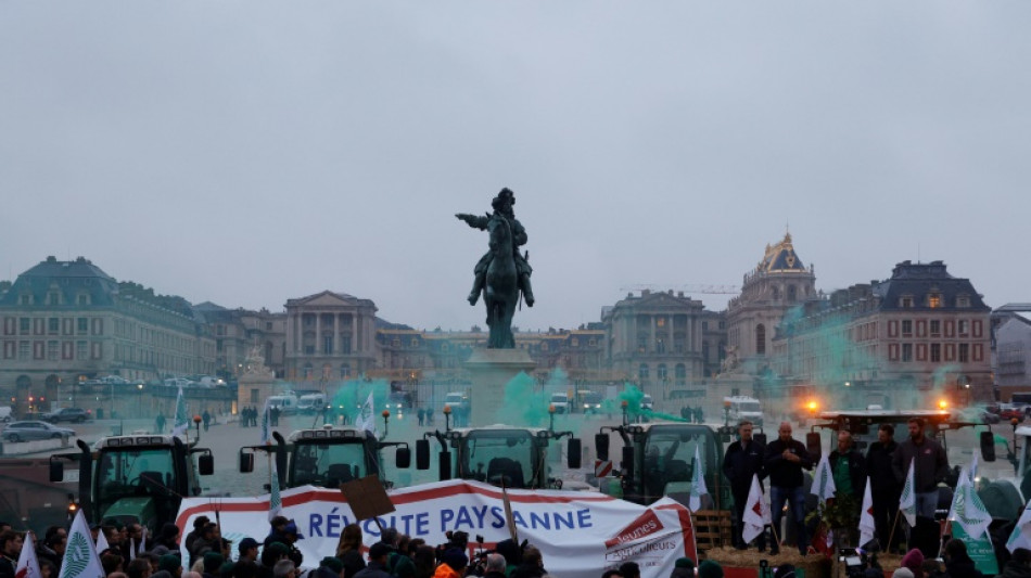 Agricultores franceses protestam contra o acordo UE-Mercosul