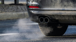 German court rejects landmark climate case against BMW, Mercedes