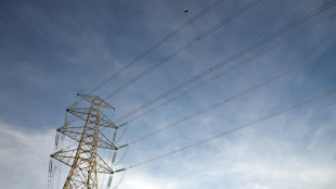 Missklänge in Koalition wegen Stromsteuer - Bas findet Unions-Vorgehen irritierend