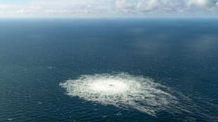 Keine gemeinsame Ermittlergruppe zu Nord-Stream-Lecks mit D&auml;nemark und Schweden