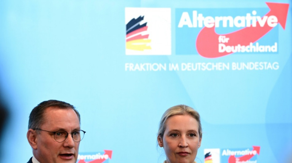 AfD reicht wegen Hochstufung Klage gegen Verfassungsschutz ein