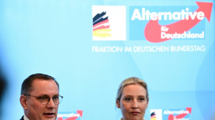 AfD und BSW offen für Gespräche auch auf Bundesebene