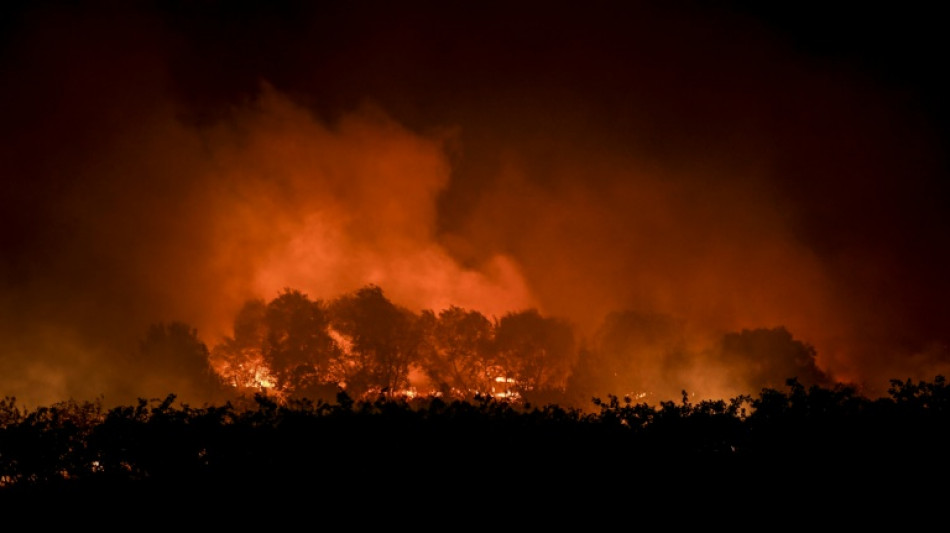 Le Portugal peine &agrave; venir &agrave; bout du feu dans un parc naturel