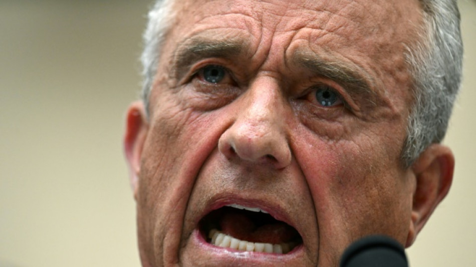 Democrats lambast Biden primary challenger Kennedy Jr