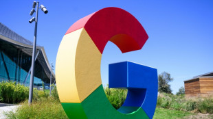 Google-Auswertung: Infos zu US-Wahl und Sportgro&szlig;ereignissen besonders gefragt