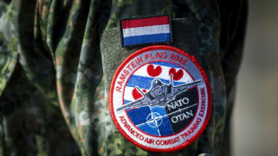 "Erh&ouml;hte Bedrohung": Niederl&auml;ndische Armee hebt Alarmstufe an