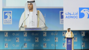 El presidente de la compa&ntilde;&iacute;a petrolera de Emiratos dirigir&aacute; la COP28