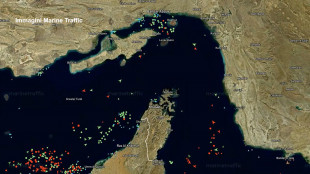 Pasdaran, sequestrate le 2 navi colpite a Hormuz