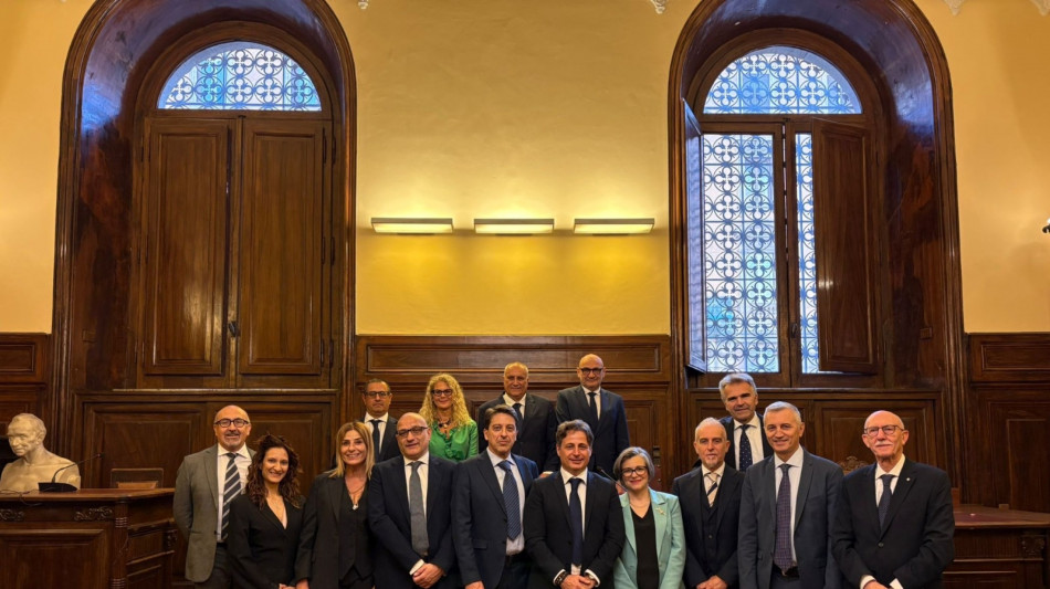 Nuovo Consiglio nazionale geologi, Troncarelli presidente