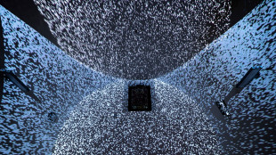 Il caso e l'imprevedibilit&agrave;, musica e arti performative al Festival ArteScienza