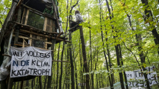 Polizei setzt R&auml;umung von besetztem Wald in Lau&szlig;nitzer Heide in Sachsen fort