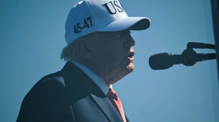 Bundesregierung ver&auml;rgert &uuml;ber Trump-Unterst&uuml;tzung f&uuml;r AfD in Sachsen-Anhalt