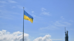 Ukraine feiert ihren Unabhängigkeitstag - Russisches Akw von ukrainischer Drohne getroffen