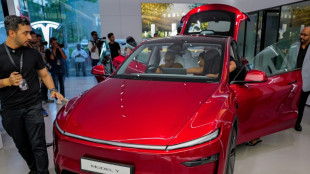 Tesla marks India entry with first showroom