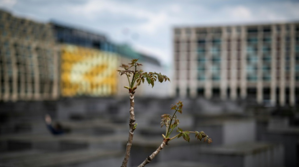 Zweite Anklage in Zusammenhang mit Attacke an Berliner Holocaust-Mahnmal erhoben