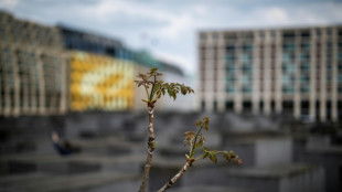 Zweite Anklage in Zusammenhang mit Attacke an Berliner Holocaust-Mahnmal erhoben