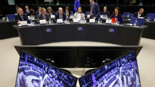 El Parlamento Europeo destituy&oacute; a la legisladora bajo sospecha de corrupci&oacute;n