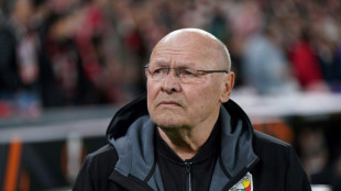 Czechs name veteran coach Koubek for World Cup play-offs
