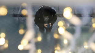 Im&aacute;genes falsas de Trump y Epstein acumulan millones de visualizaciones