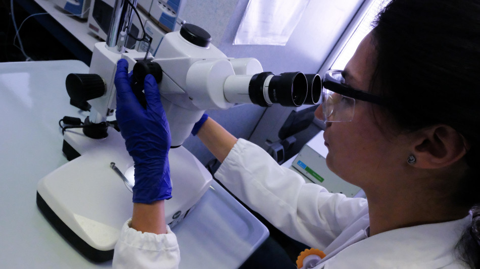 Al via le applicazioni della molecola di Levi Montalcini