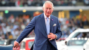 Familia Bin Laden don&oacute; 1 mill&oacute;n de libras a fundaci&oacute;n del pr&iacute;ncipe Carlos, seg&uacute;n la prensa