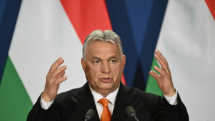 Orban dr&auml;ngt EU zu Verhandlungen &uuml;ber Frieden in der Ukraine mit Russland