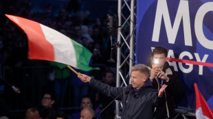 Ungarn w&auml;hlen neues Parlament - Niederlage Orbans m&ouml;glich