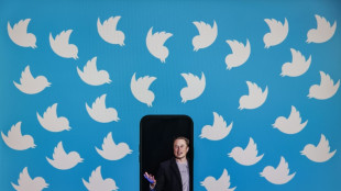 Berichte: Elon Musk will Twitter nun doch &uuml;bernehmen