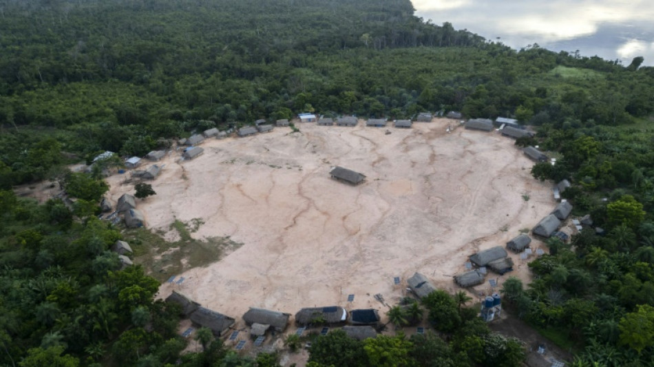 Climat: des pays accus&eacute;s de "jouer" avec les for&ecirc;ts pour r&eacute;duire leur ambition