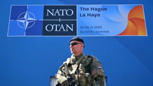 Nato-Gipfel beginnt mit Ukraine-Treffen und Empfang beim Königspaar