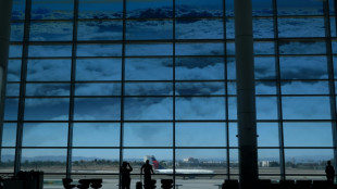 Acuerdo en la ONU sobre neutralidad de carbono para la aviaci&oacute;n en 2050