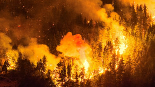 Nombreux incendies en Patagonie argentine: 3.000 touristes &eacute;vacu&eacute;s