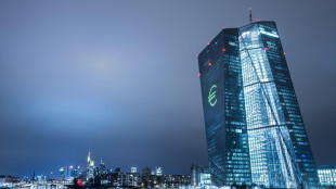 Bce, probabile altro rialzo tassi, inflazione alta fino a met&agrave; 2027