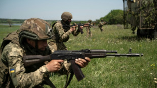 Studie: Weltweit größte Zahl an Konflikten seit Ende des Zweiten Weltkriegs