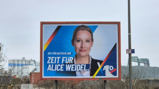 "Spiegel": Bundestagsverwaltung pr&uuml;ft Parteispende f&uuml;r die AfD