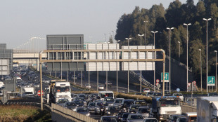 Ok dall'Eurocamera a metodo comune di calcolo emissioni gas serra nei trasporti