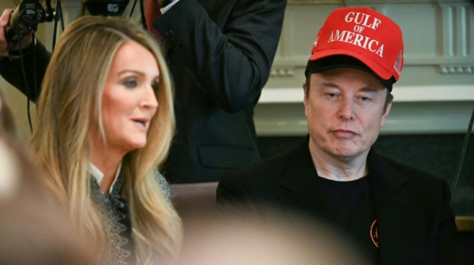 Trump praises Musk as chief disruptor eyes exit
