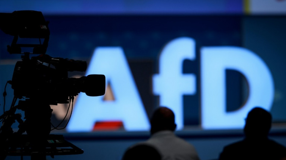 Landtagswahl in Rheinland-Pfalz: AfD-Chef Bollinger zum Spitzenkandidaten gewählt