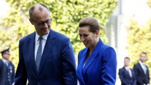 Merz lobt Dänemarks "vorbildliche" Migrationspolitik