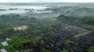 La deforestación se desacelera en el mundo, pero sigue siendo demasiado rápida, advierte la FAO