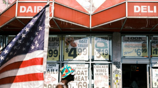 La clandestinité, le Canada ou les gangs? "Panique" chez les migrants haïtiens aux Etats-Unis