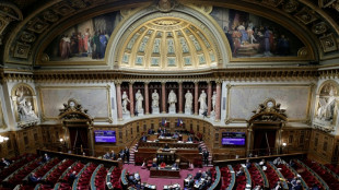 Le Parlement fran&ccedil;ais facilite les restitutions d'oeuvres pill&eacute;es durant la colonisation 