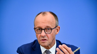 Merz wiederholt umstrittene Äußerung zu Deutschlands Einfluss auf den Klimawandel