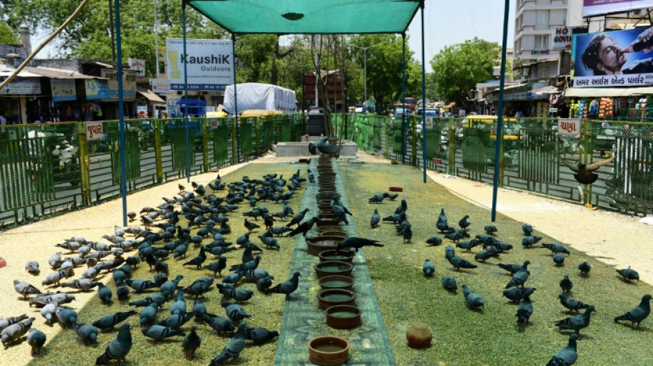 El cambio clim&aacute;tico multiplica por 30 el riesgo de olas de calor extremas en Asia