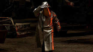 Gozzi (Federacciai), 'la sopravvivenza si giochi a Bruxelles'