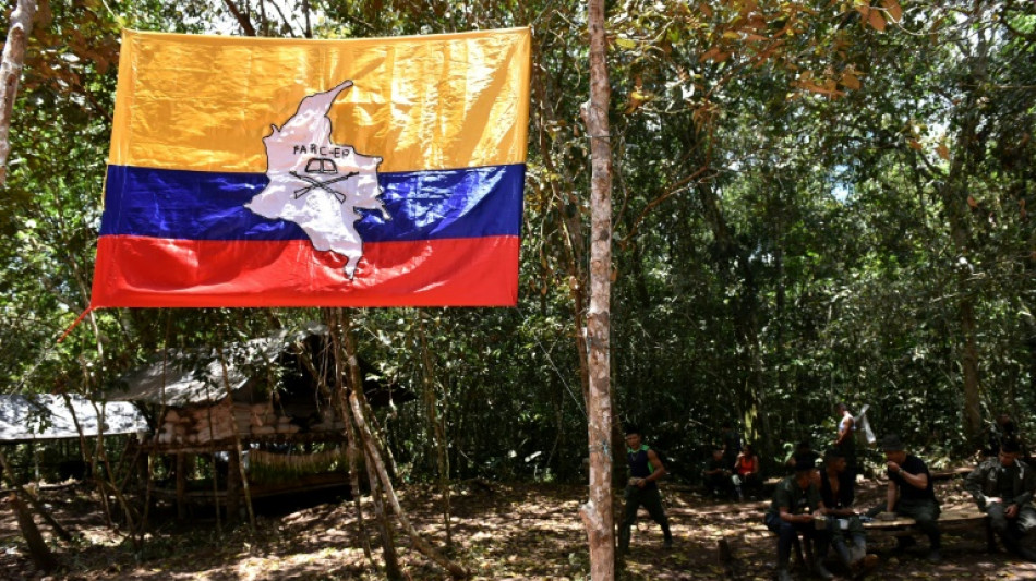Un exl&iacute;der de las FARC colombianas se declara culpable en EEUU de tr&aacute;fico de drogas